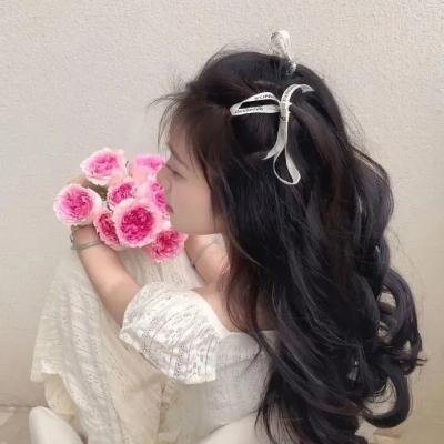 苍蝇之母海报